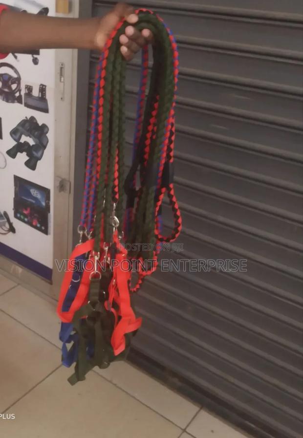 Dogleash High Quality - main view