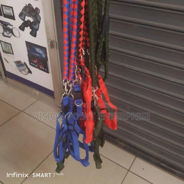 High Quality Dogleash - main view