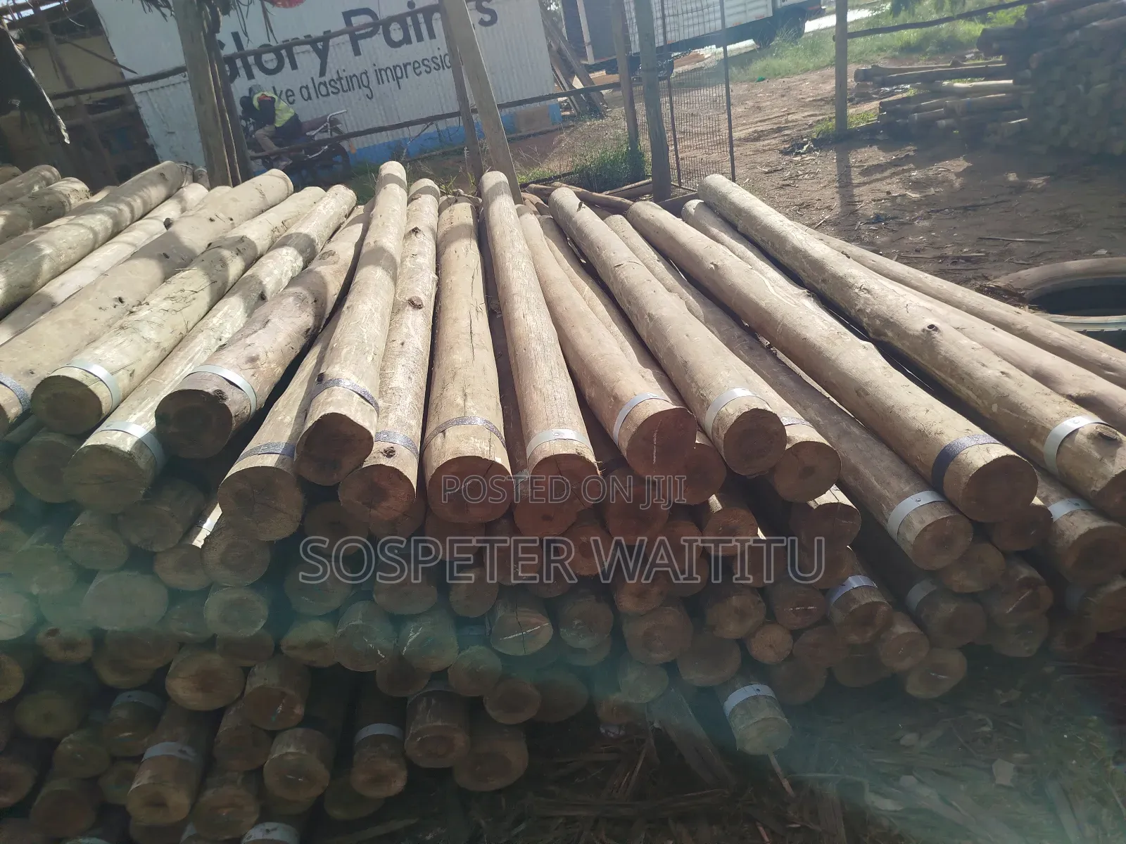 Fencing Poles