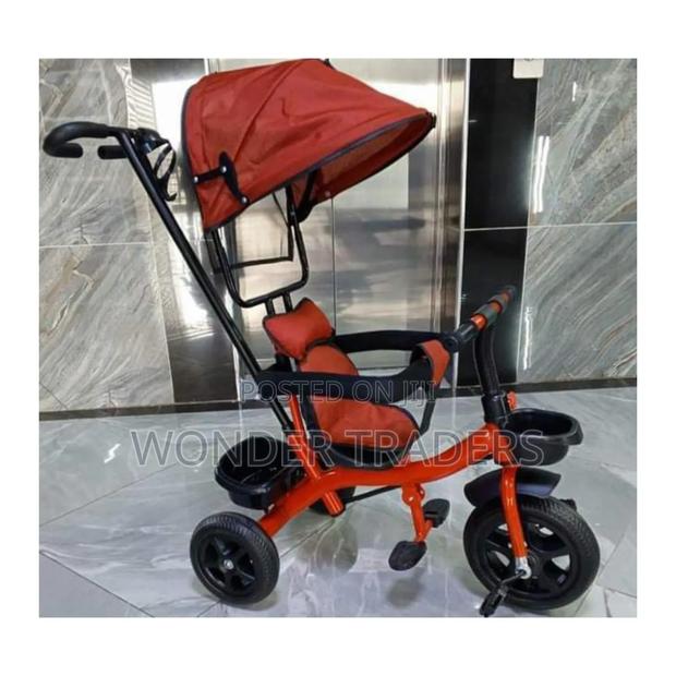 Tricycle With Canopy - main view