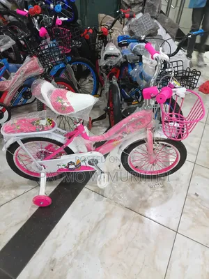 Pink Lady Bike Size 16
