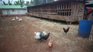 Land for Sale Karatina Town Mwanda