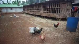Land for Sale Karatina Town Mwanda