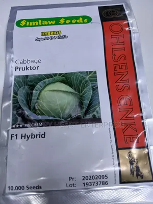 Cabbage Pruktor  F1 10,000 Seeds