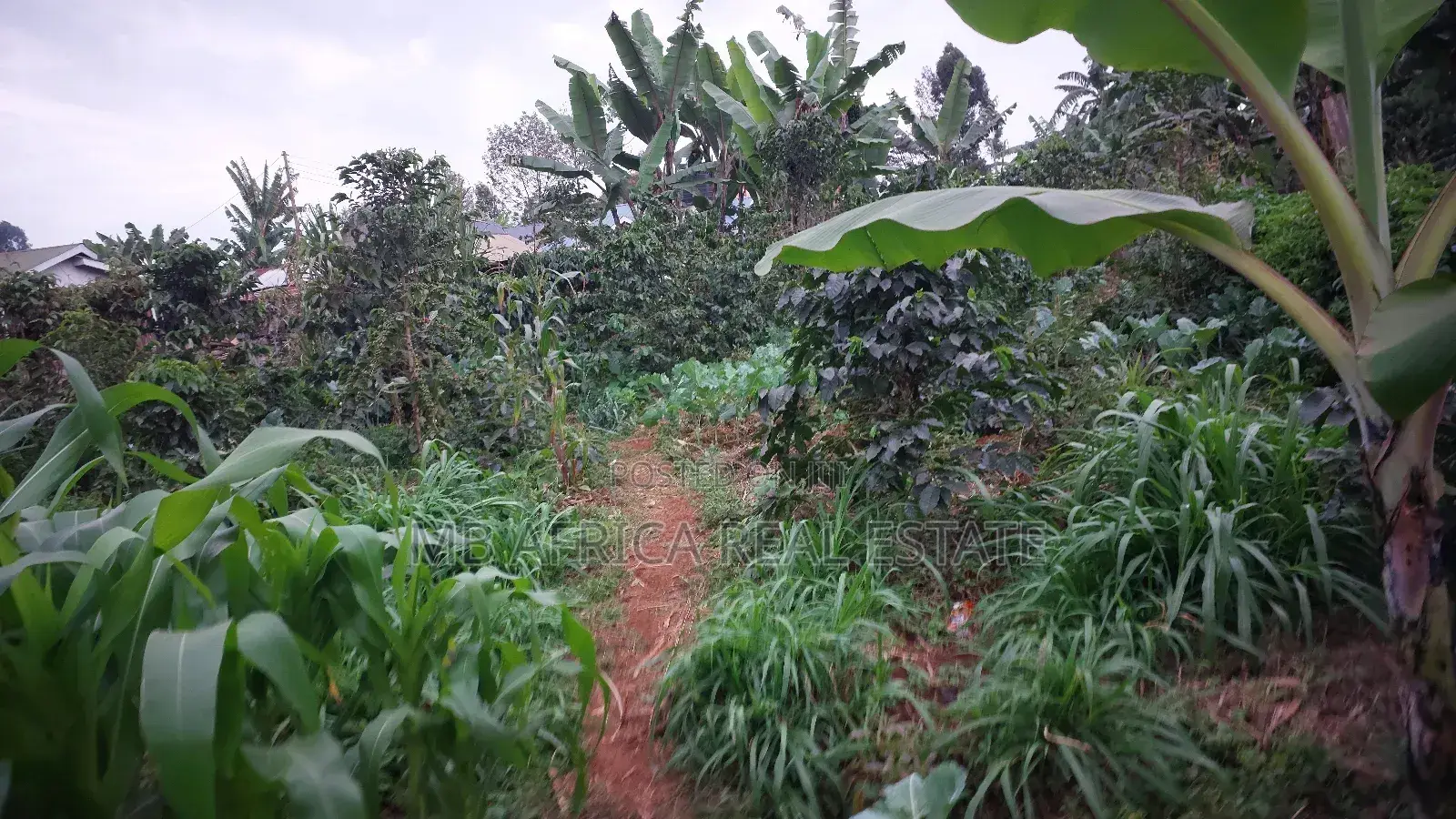 Land for Sale Karatina Town Mwanda