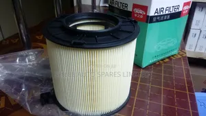 Audi Air Filter Tfsi Q5 2l 8wc