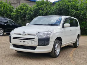 Toyota Probox 1.5 DX 2WD 2019 White