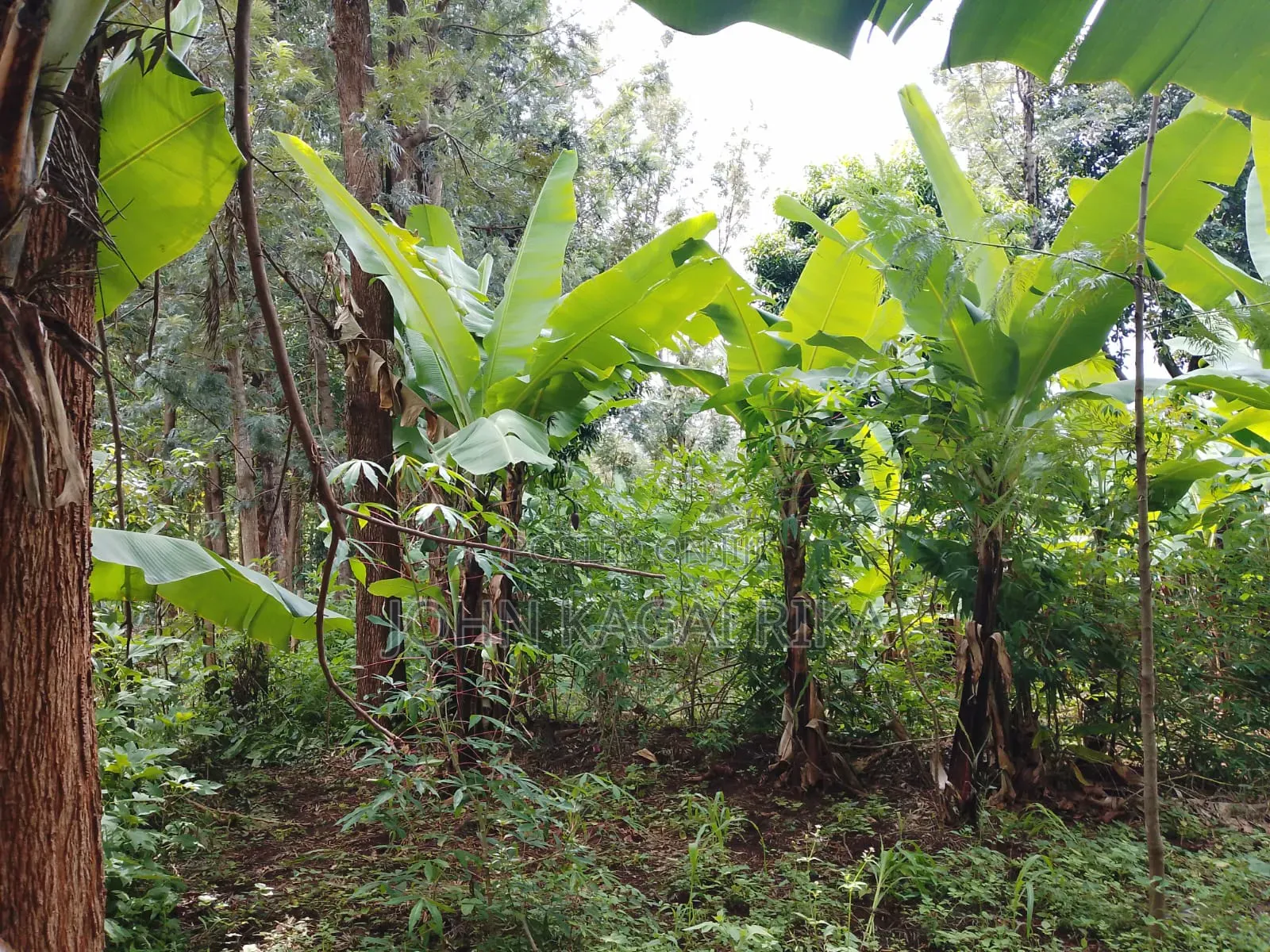 Chuka Town Development Land for Sale. Approximately One Acre.