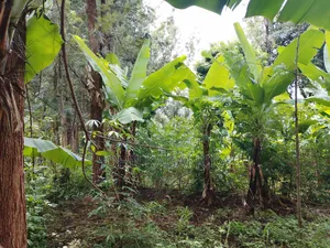 Chuka Town Development Land for Sale. Approximately One Acre.