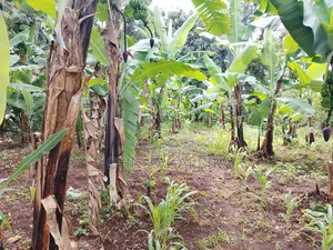 Chuka Town Development Land for Sale. Approximately One Acre.