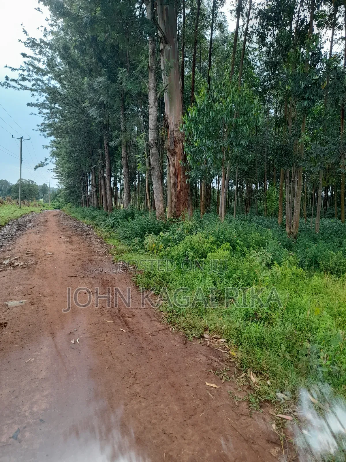 Kitale Agricultural Land