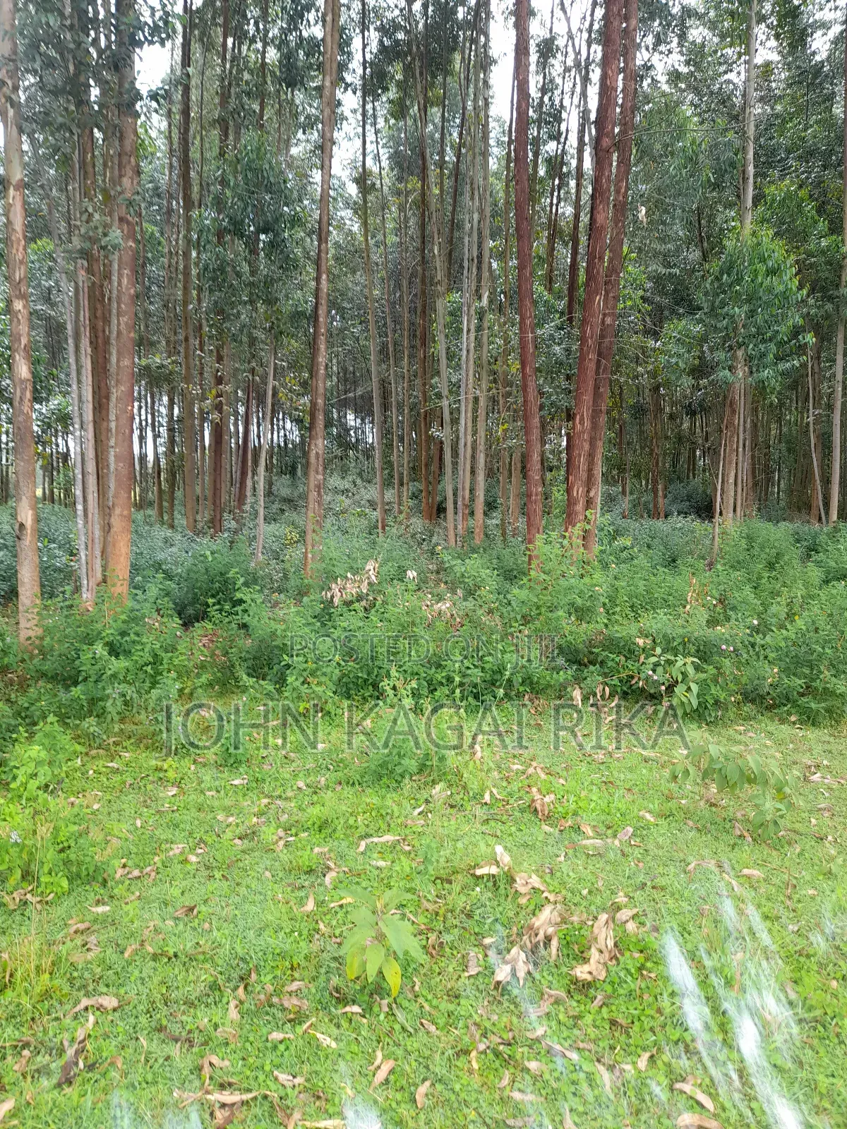 Kitale Agricultural Land