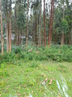 Kitale Agricultural Land