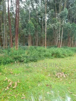 Kitale Agricultural Land