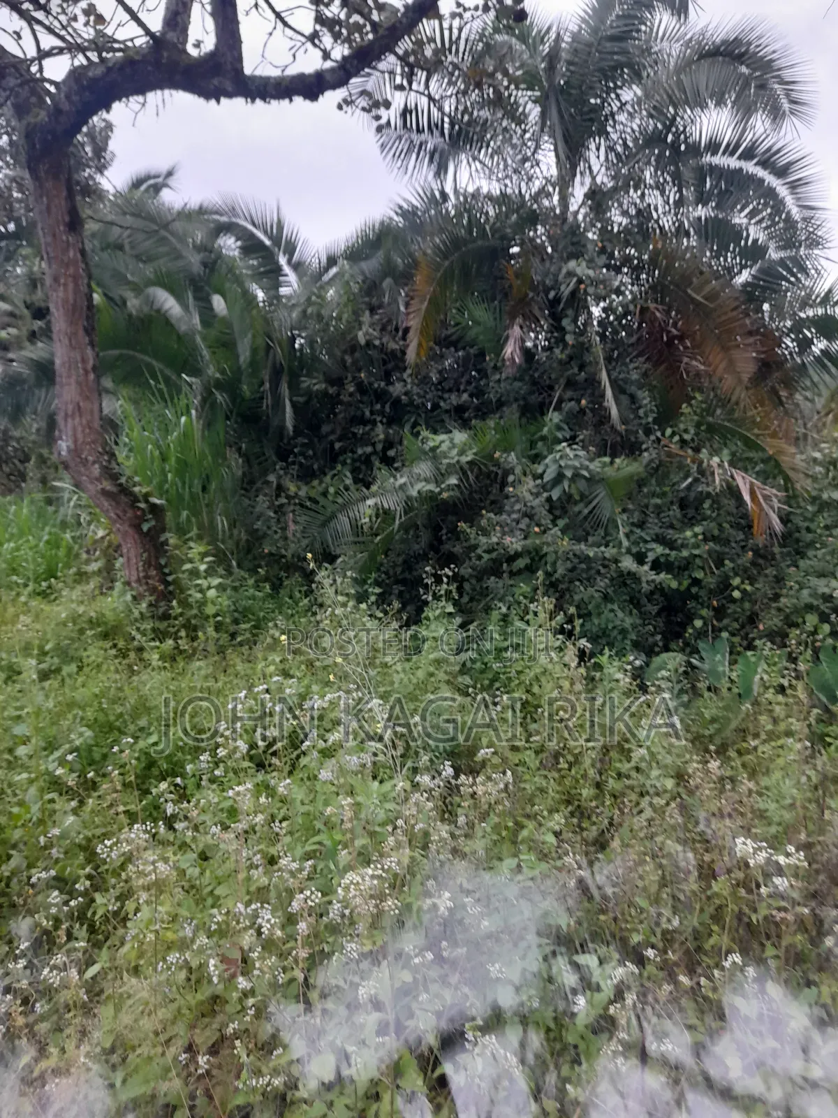 Kitale Agricultural Land