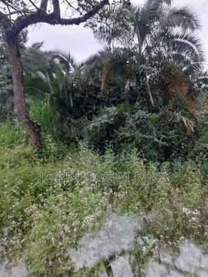 Kitale Agricultural Land