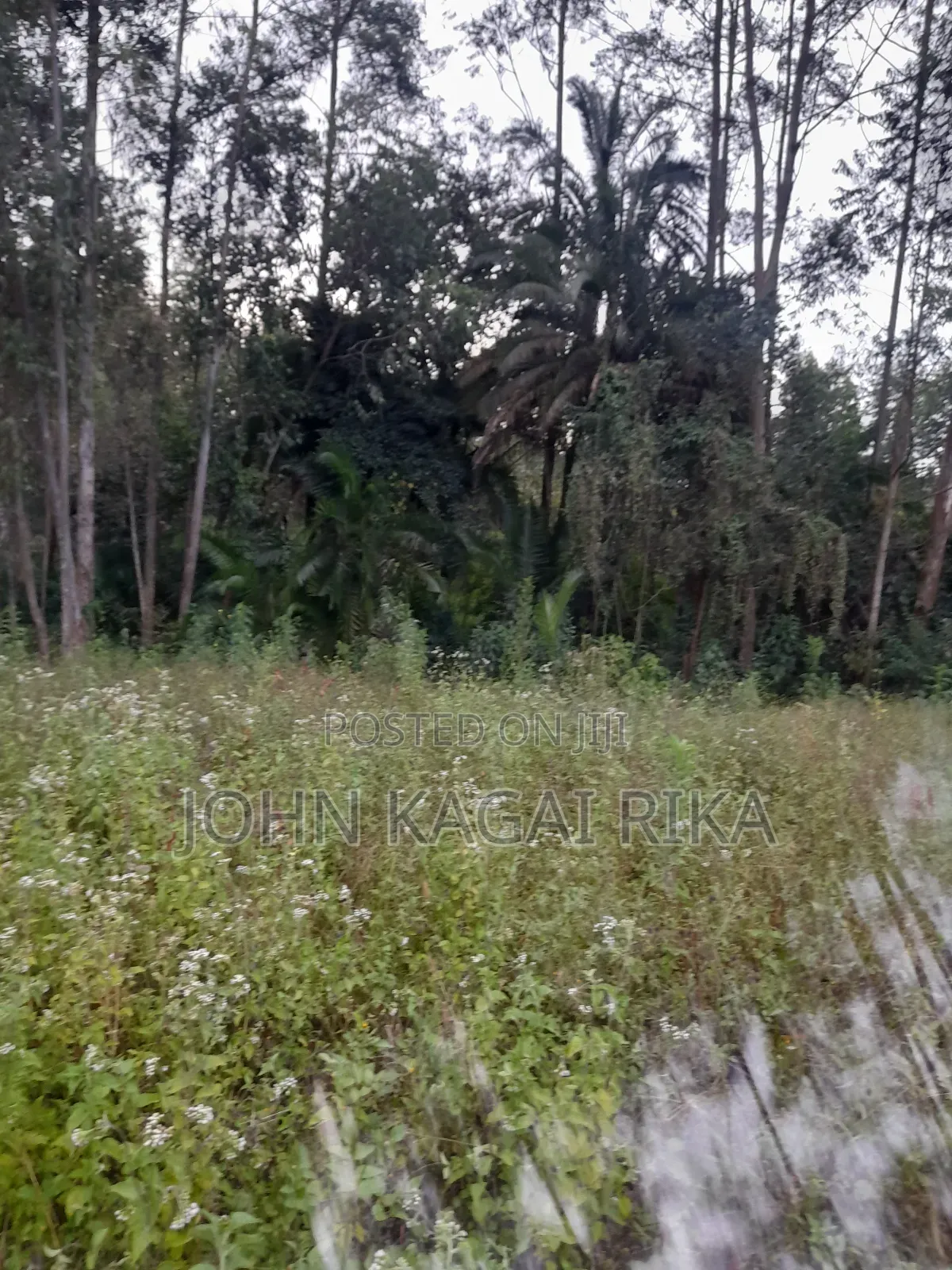 Kitale Agricultural Land