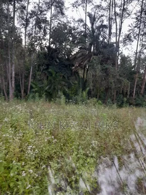 Kitale Agricultural Land