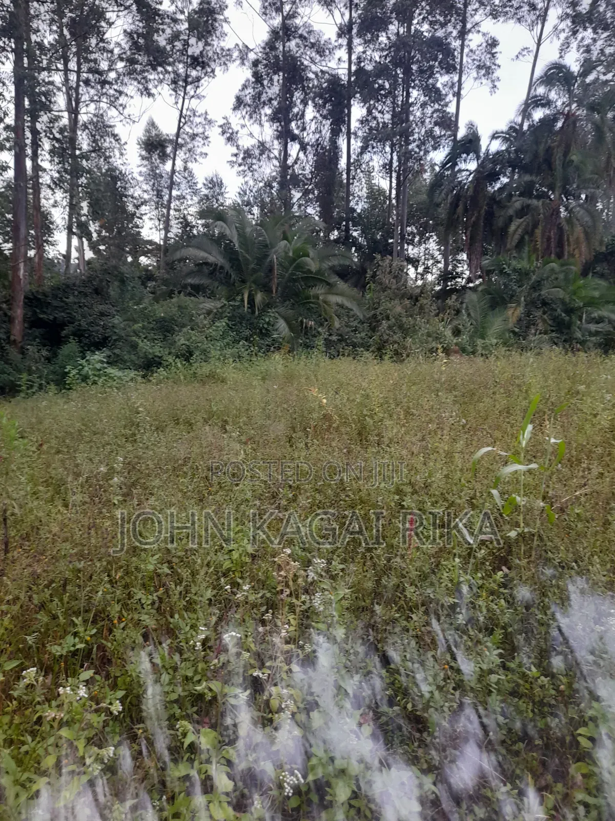 Kitale Agricultural Land