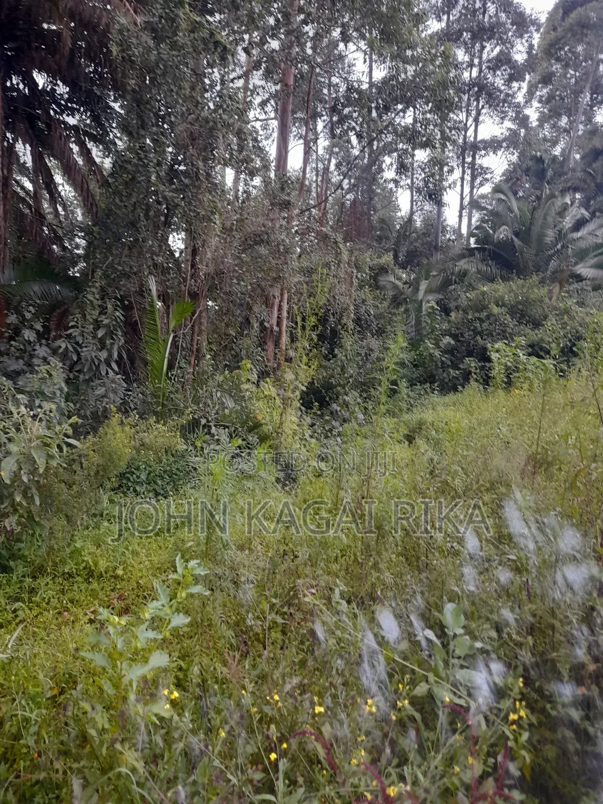 Kitale Agricultural Land