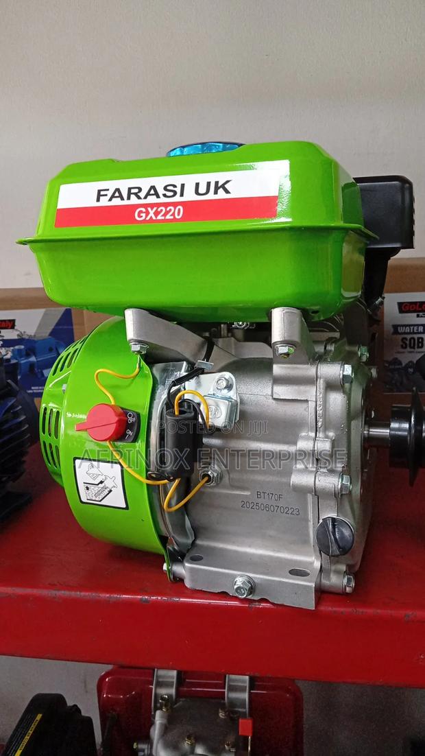 Strong and Powerful Petrol Driven Engine 7.5hp - thumbnail 3