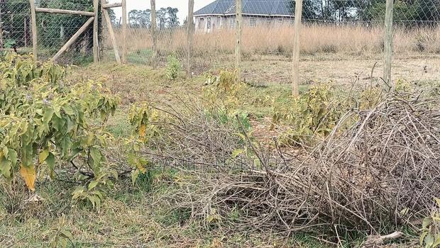 Residential Plot Mountain View Estate (Kipkorgot) - thumbnail 5