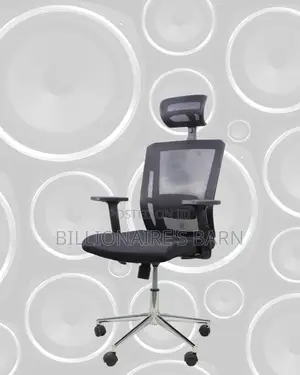 Office Mesh Chair With Lumbar Support | Premium Look, Daily Comfort