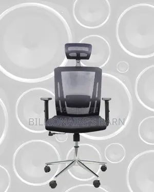 Office Mesh Chair With Lumbar Support | Premium Look, Daily Comfort