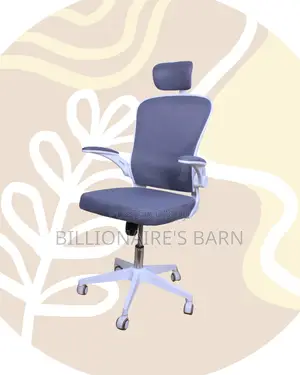Quality Ergonomic Office — Chair Posture | Order Yours Today