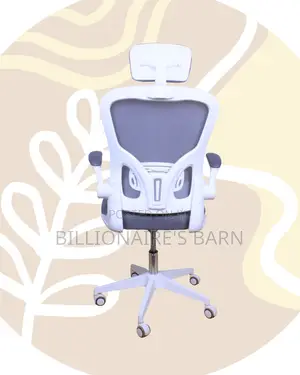 Quality Ergonomic Office — Chair Posture | Order Yours Today