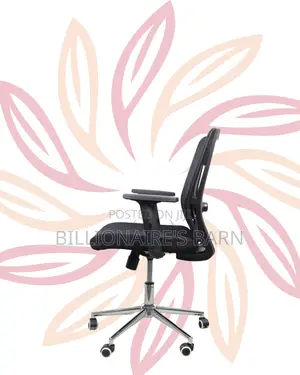 Ergonomic Mid-Back Chair With Chrome Base | Delivery Available