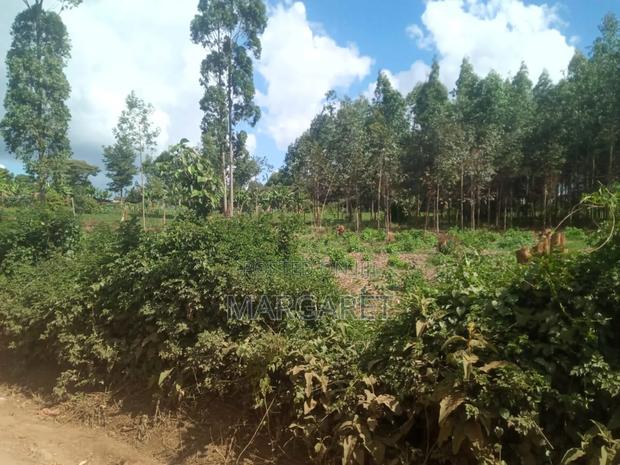 Land for Sale - main view