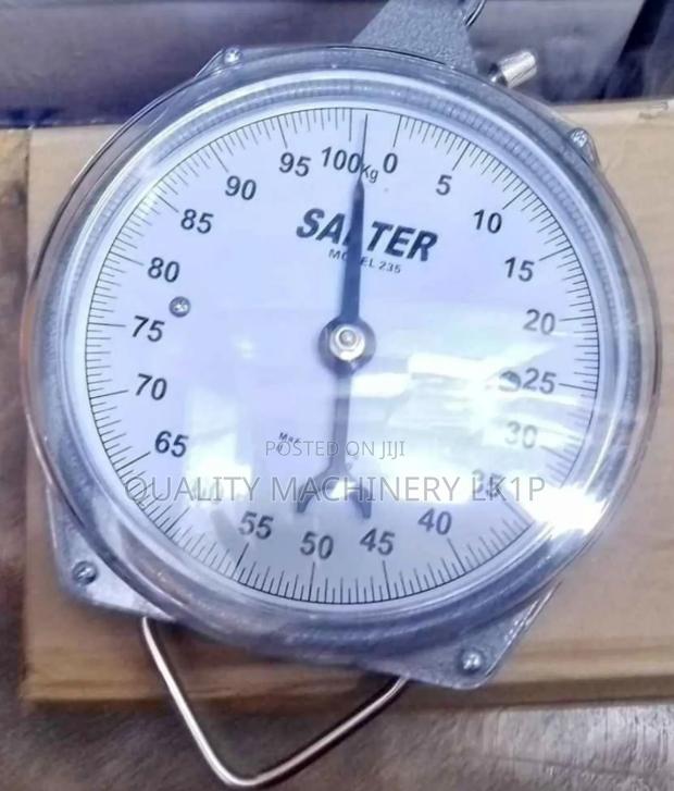Quality 100kgs Capacity Salter Scale Hanging