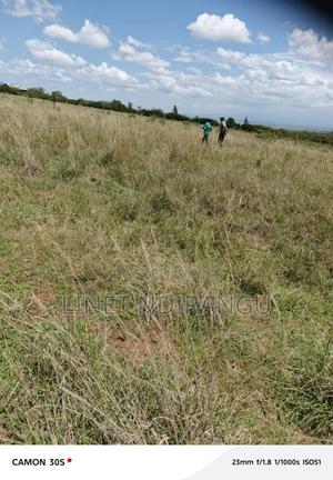 50x100 Plots in Kieni - thumbnail 2