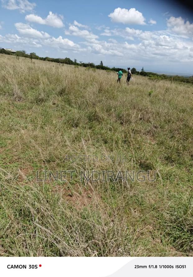 50x100 Plots in Kieni - main view