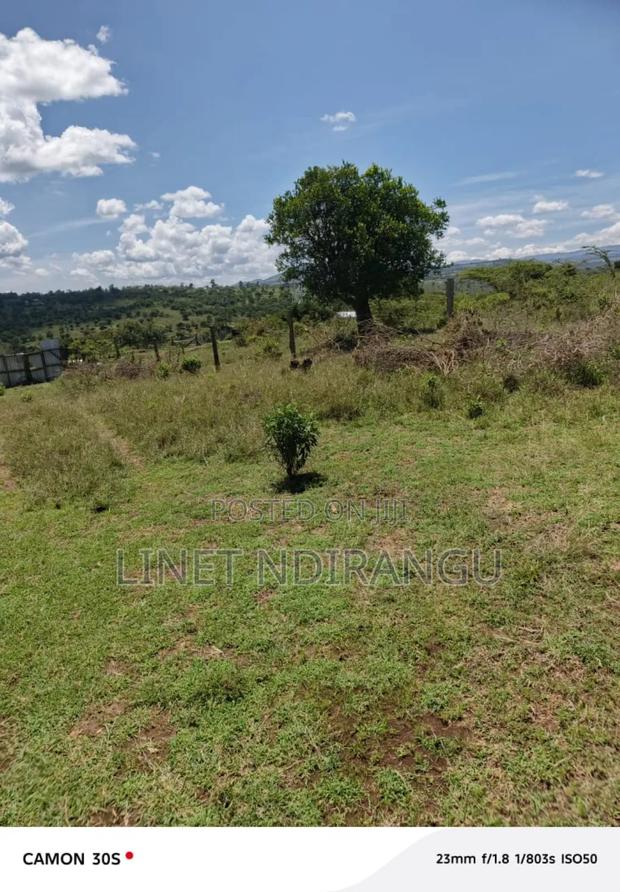 50x100 Plots in Kieni - thumbnail 2