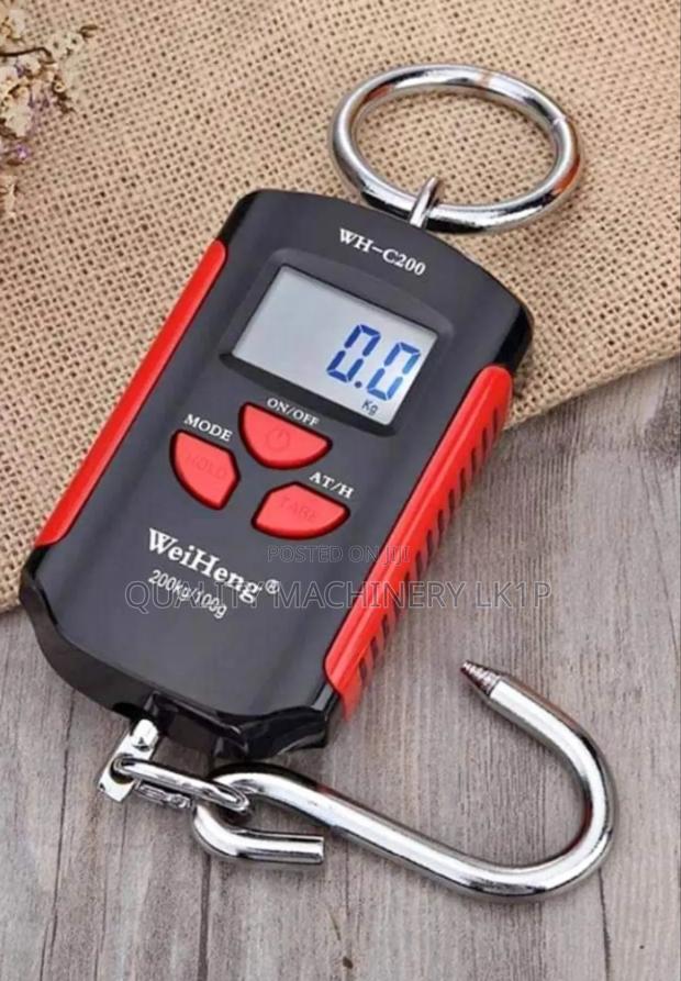 Portbale Wh-C200 Crane Scale
