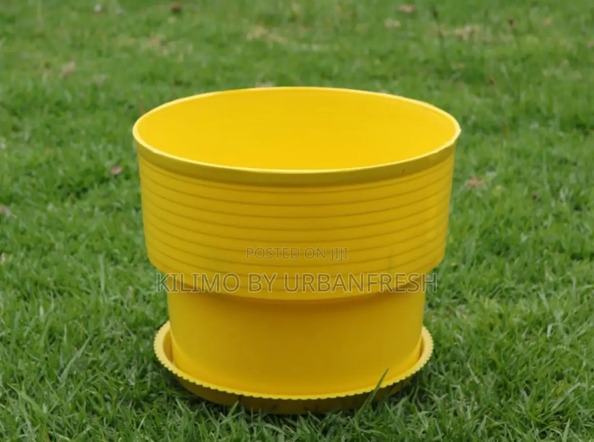 Assorted Colored Planting Pots