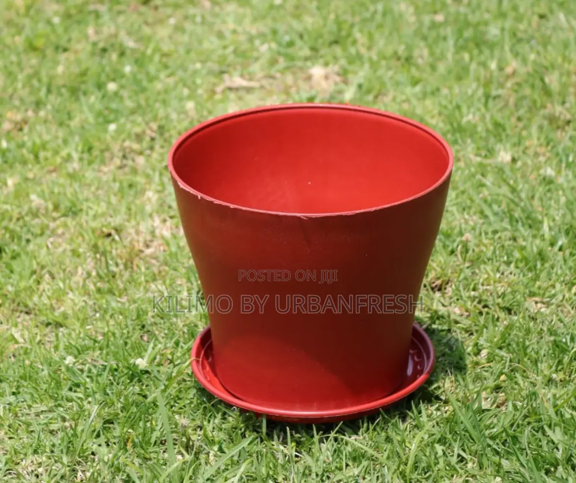 Assorted Colored Planting Pots