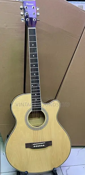 Ibanez 40 Inches,Advanced Electric Guitar-Natural Color