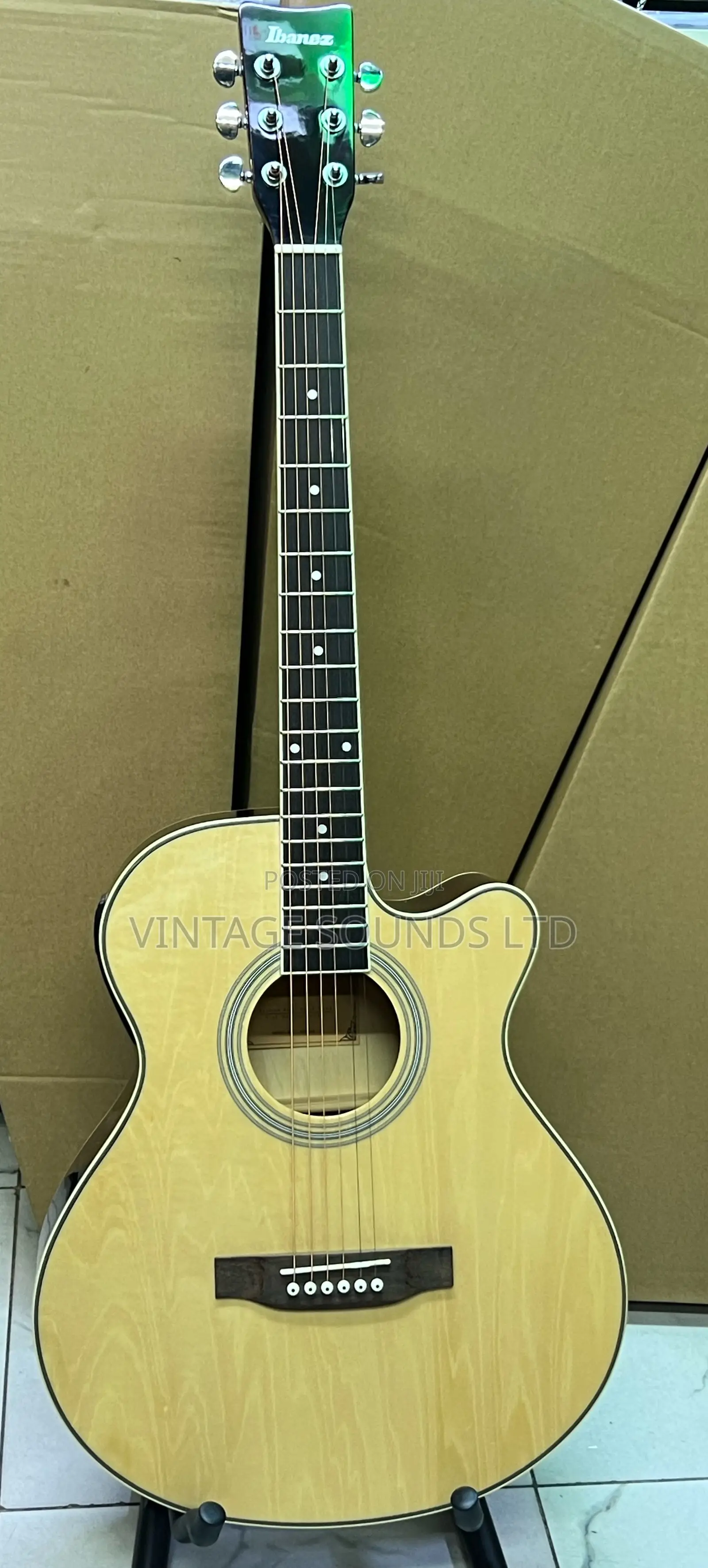 Ibanez Size 40 Advanced Acoustic- Electric Guitar ( Natural)