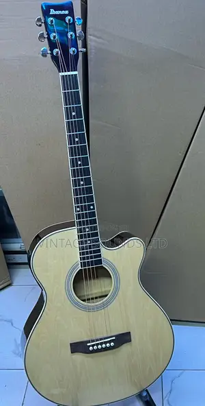 Ibanez Size 40 Advanced Acoustic- Electric Guitar ( Natural)