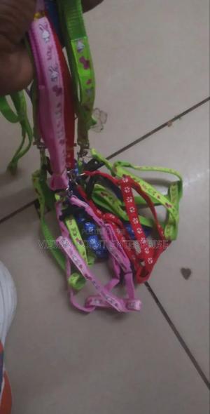 Chiwawa Dogleash - thumbnail 2