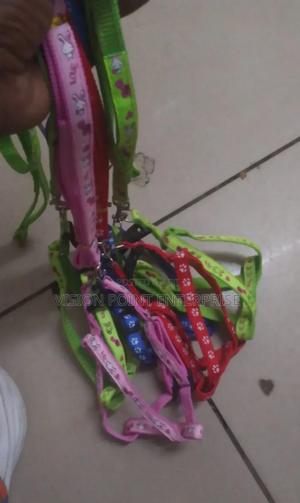 Chiwawa Dogleash - thumbnail 2