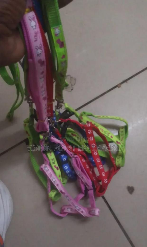 Chiwawa Dogleash - main view