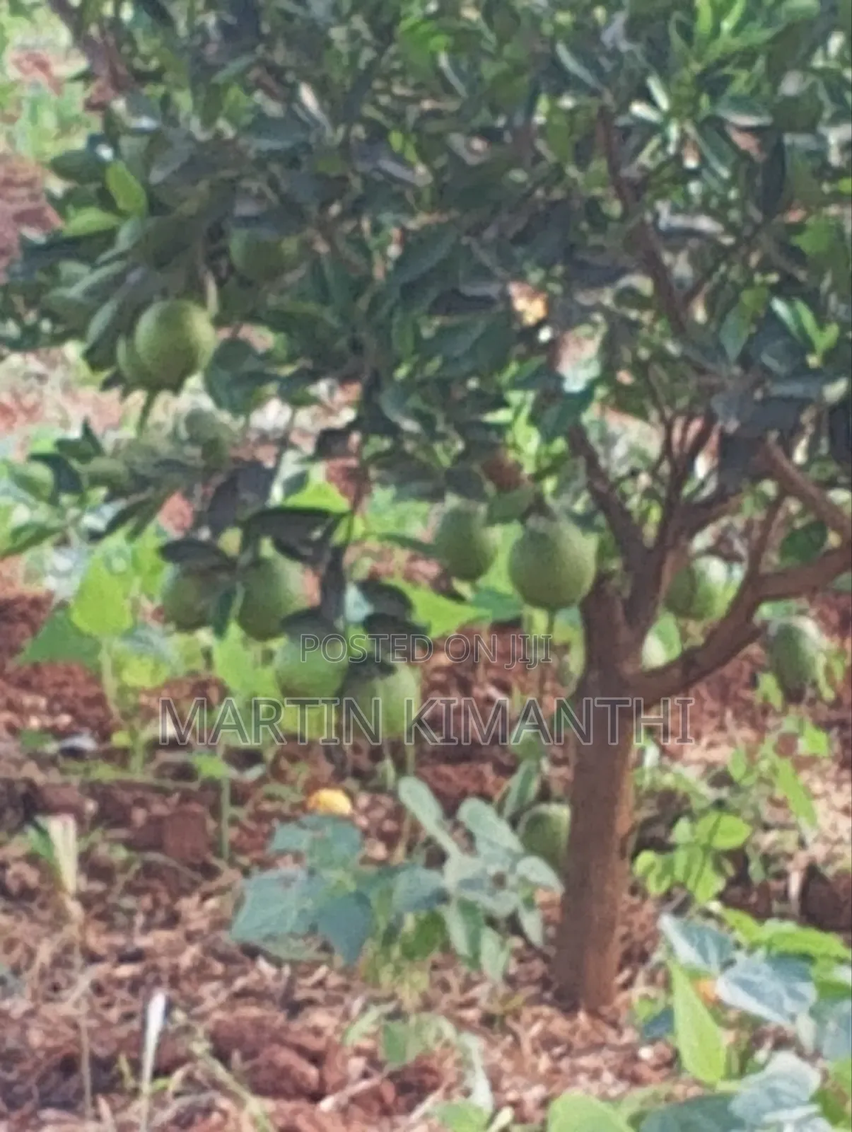 4.5 Acres Land Near Wote,Makueni