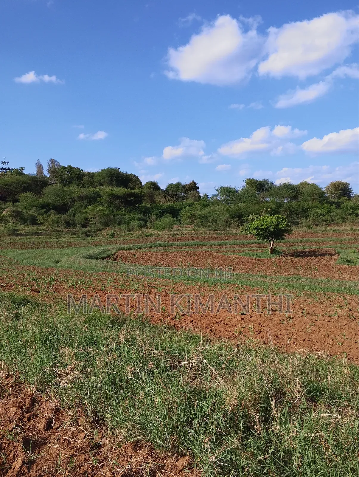 4.5 Acres Land Near Wote,Makueni