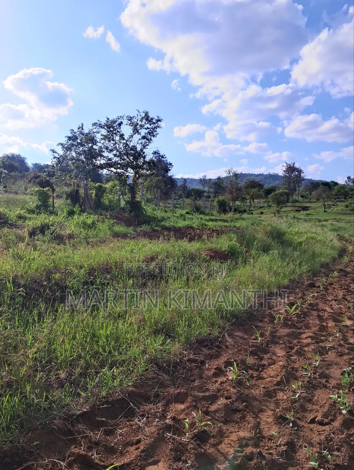 4.5 Acres Land Near Wote,Makueni