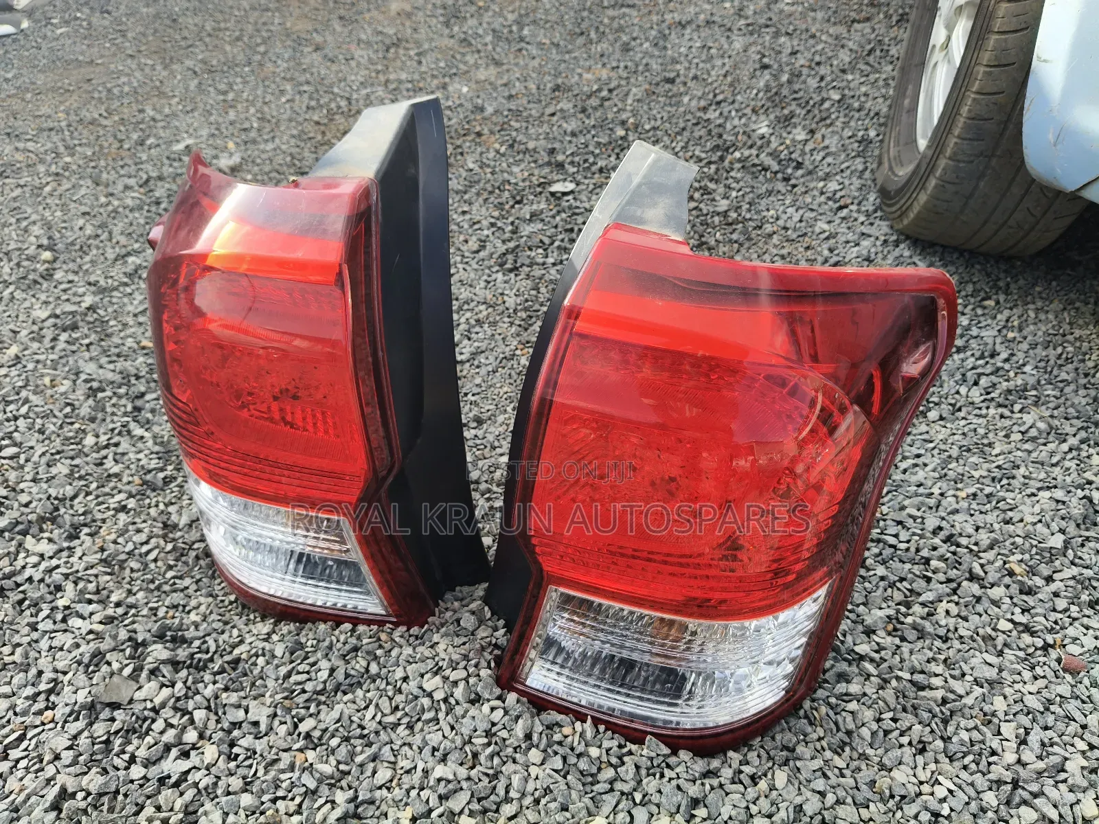 Fielder 161 Backllights