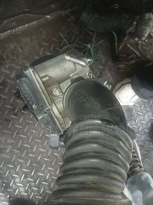 Throatal Body 1nz Sensor